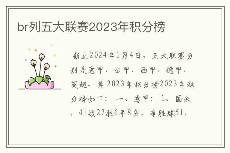 br列五大联赛2023年积分榜