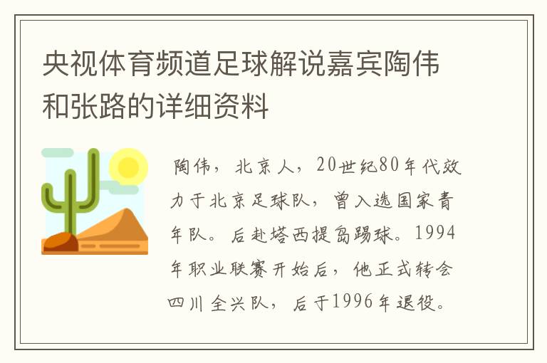 央视体育频道足球解说嘉宾陶伟和张路的详细资料