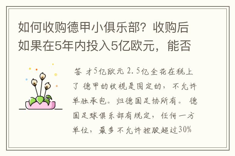 如何收购德甲小俱乐部？收购后如果在5年内投入5亿欧元，能否打造成和拜仁一样的豪门？多少年能收回成本？