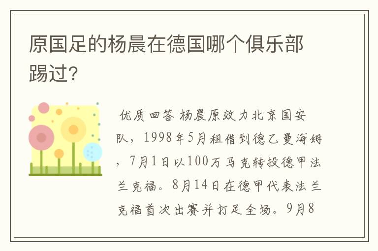 原国足的杨晨在德国哪个俱乐部踢过?