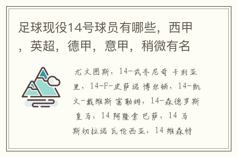 足球现役14号球员有哪些，西甲，英超，德甲，意甲，稍微有名气点的。 除了沃尔科特，埃尔南德斯，莫得里奇