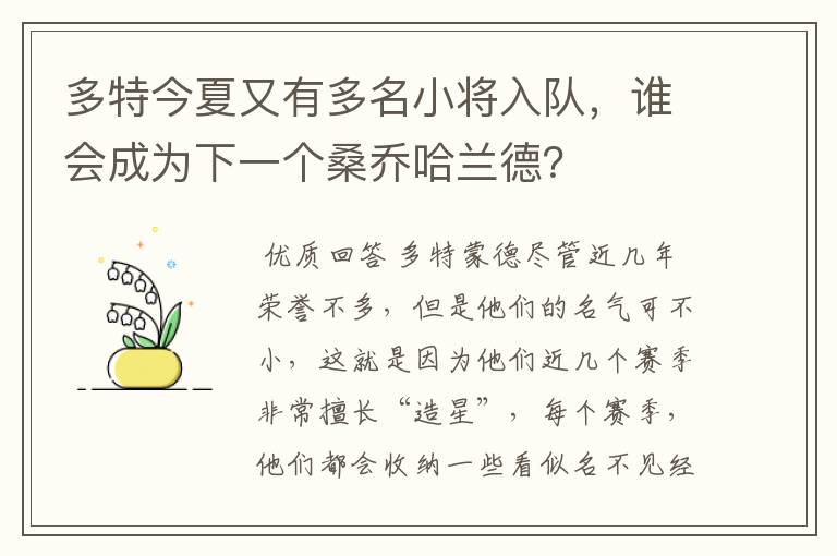 多特今夏又有多名小将入队，谁会成为下一个桑乔哈兰德？