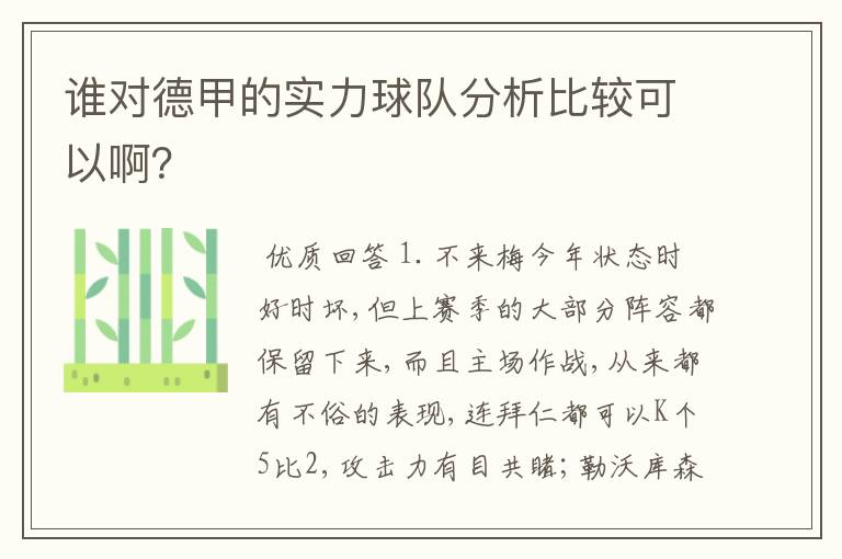 谁对德甲的实力球队分析比较可以啊？