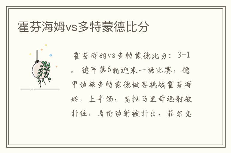 霍芬海姆vs多特蒙德比分