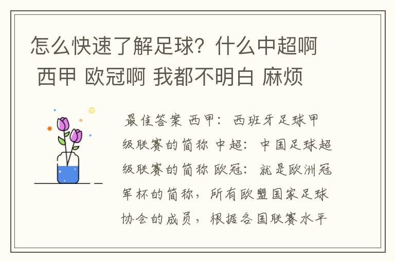 怎么快速了解足球？什么中超啊 西甲 欧冠啊 我都不明白 麻烦 有哪位特别了解足球的 跟我讲讲，多谢