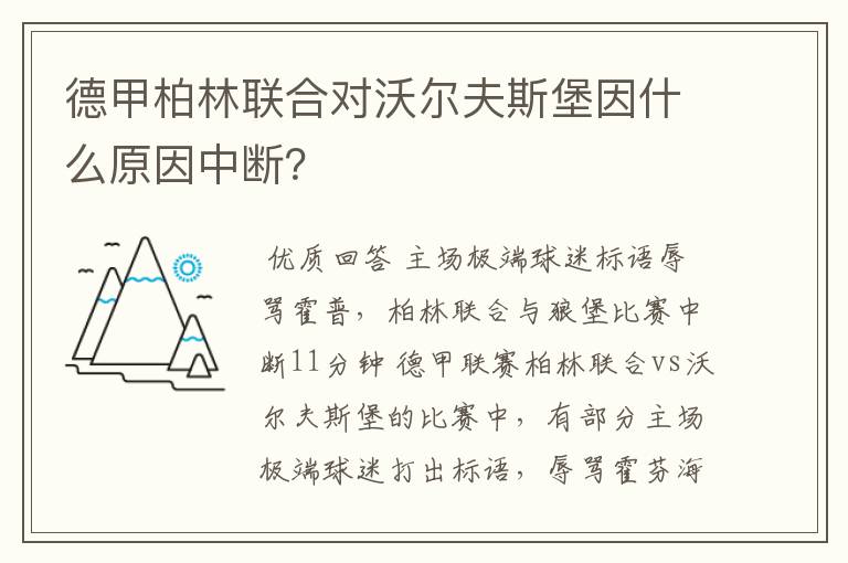 德甲柏林联合对沃尔夫斯堡因什么原因中断？