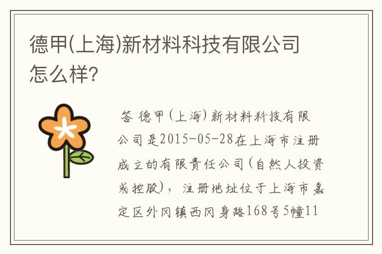 德甲(上海)新材料科技有限公司怎么样？