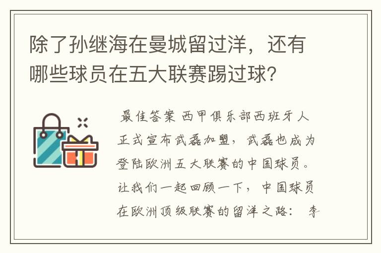 除了孙继海在曼城留过洋，还有哪些球员在五大联赛踢过球？