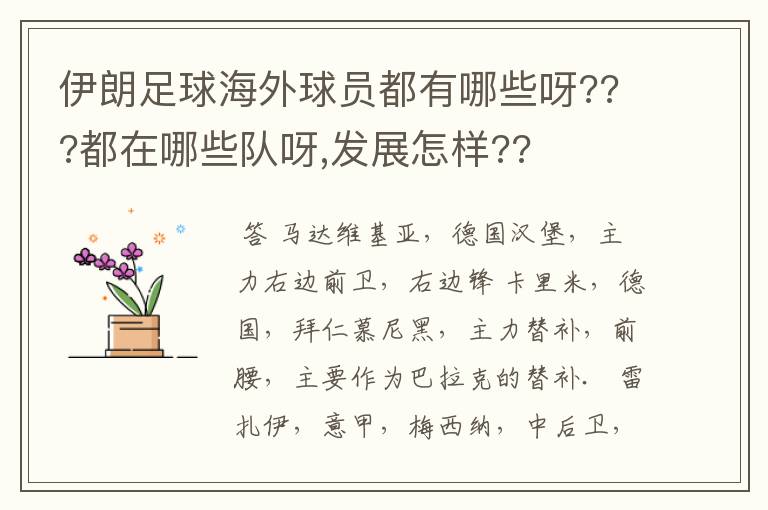 伊朗足球海外球员都有哪些呀???都在哪些队呀,发展怎样??