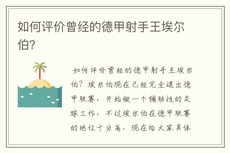 如何评价曾经的德甲射手王埃尔伯？