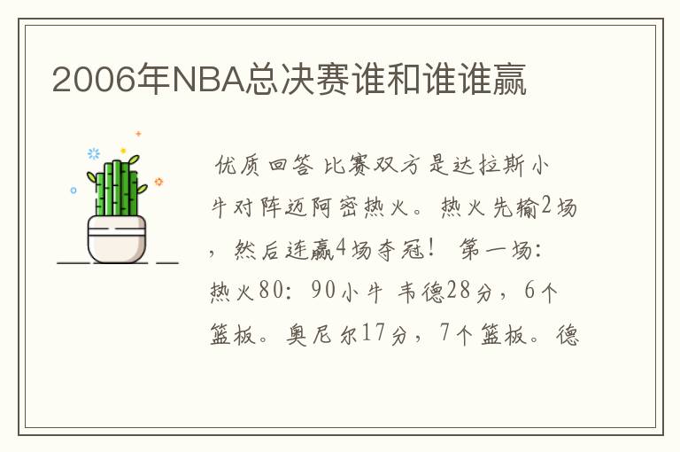 2006年NBA总决赛谁和谁谁赢