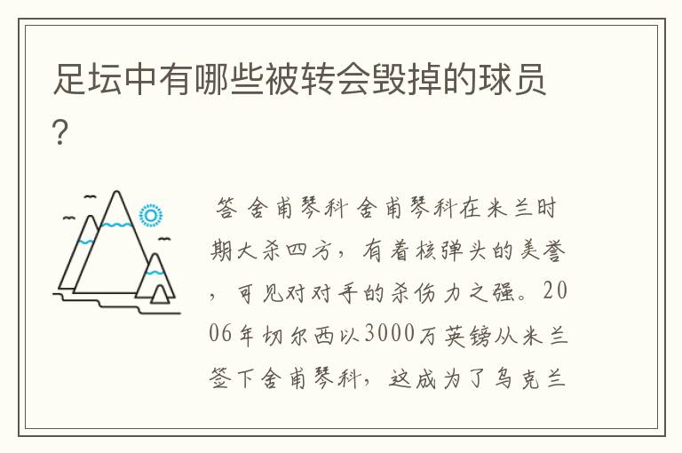 足坛中有哪些被转会毁掉的球员？