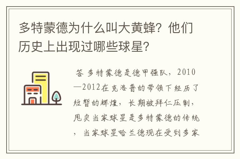 多特蒙德为什么叫大黄蜂？他们历史上出现过哪些球星？