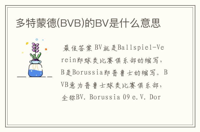 多特蒙德(BVB)的BV是什么意思