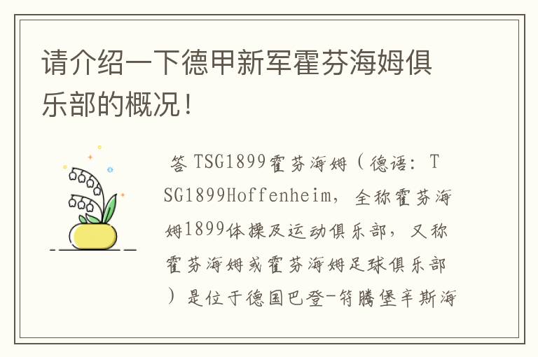 请介绍一下德甲新军霍芬海姆俱乐部的概况！