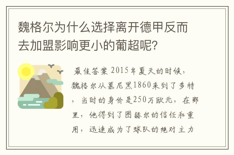 魏格尔为什么选择离开德甲反而去加盟影响更小的葡超呢？