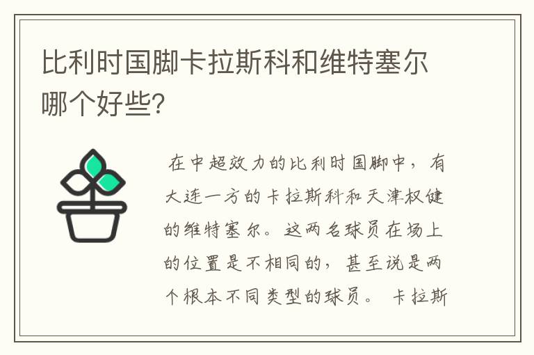 比利时国脚卡拉斯科和维特塞尔哪个好些？