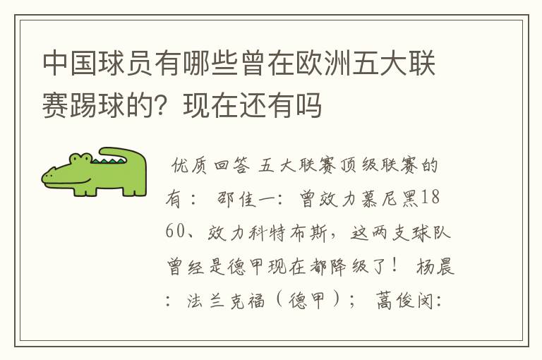 中国球员有哪些曾在欧洲五大联赛踢球的？现在还有吗