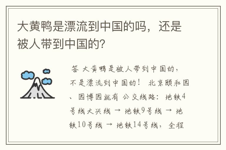 大黄鸭是漂流到中国的吗，还是被人带到中国的？