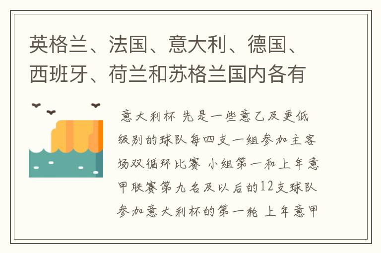 英格兰、法国、意大利、德国、西班牙、荷兰和苏格兰国内各有什么杯赛？