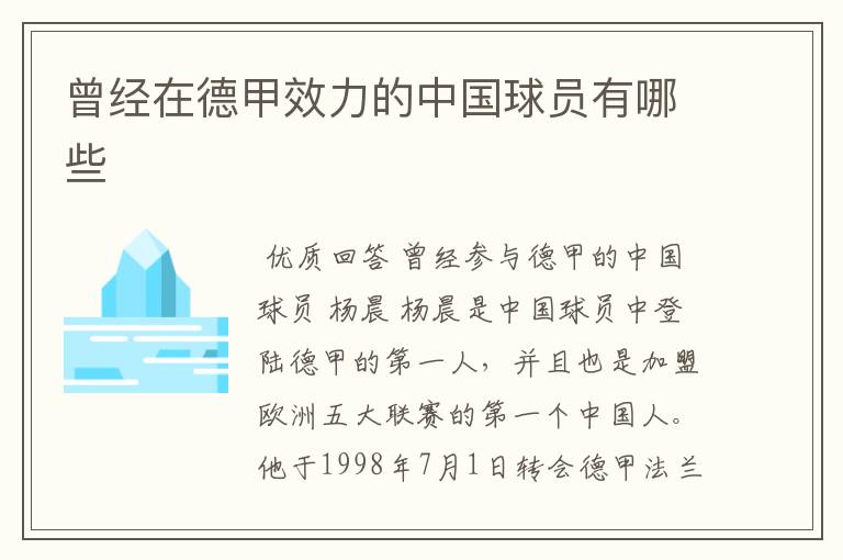 曾经在德甲效力的中国球员有哪些