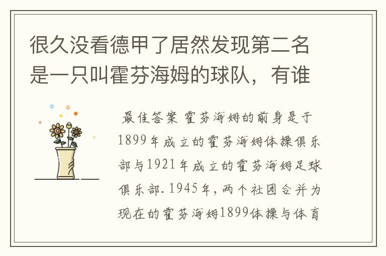 很久没看德甲了居然发现第二名是一只叫霍芬海姆的球队，有谁知道吗