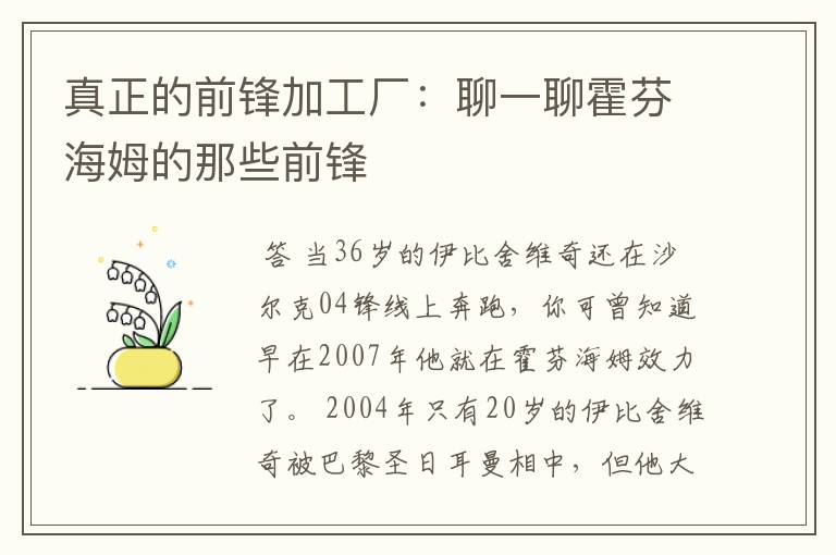 真正的前锋加工厂：聊一聊霍芬海姆的那些前锋