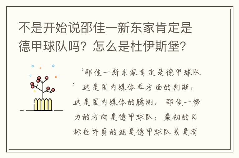 不是开始说邵佳一新东家肯定是德甲球队吗？怎么是杜伊斯堡？是德乙？邵佳一怎么不去德甲了？