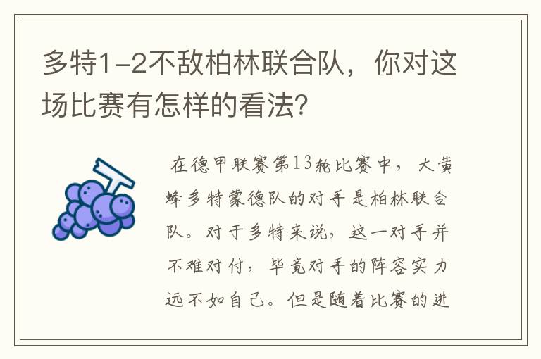 多特1-2不敌柏林联合队，你对这场比赛有怎样的看法？