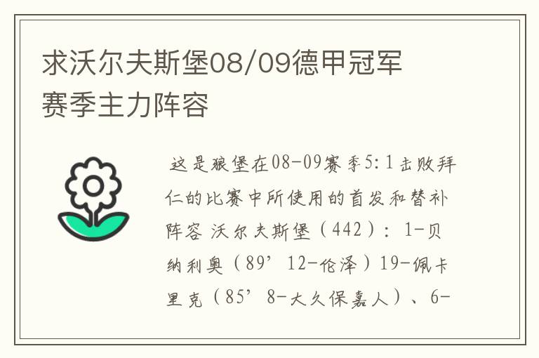 求沃尔夫斯堡08/09德甲冠军赛季主力阵容