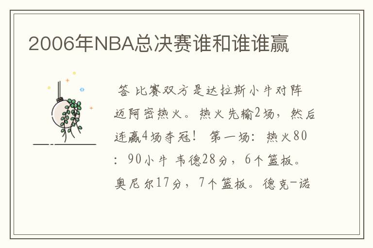 2006年NBA总决赛谁和谁谁赢