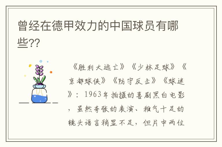 曾经在德甲效力的中国球员有哪些?？