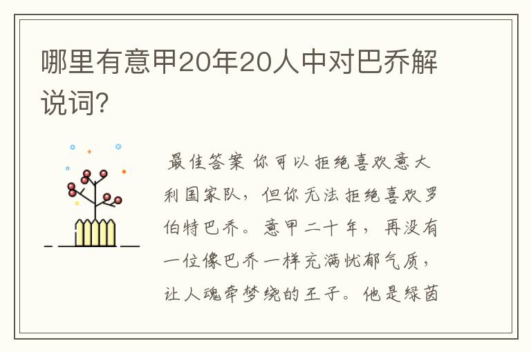 哪里有意甲20年20人中对巴乔解说词？