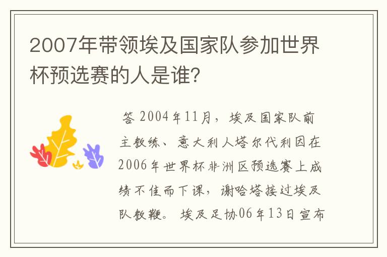 2007年带领埃及国家队参加世界杯预选赛的人是谁？