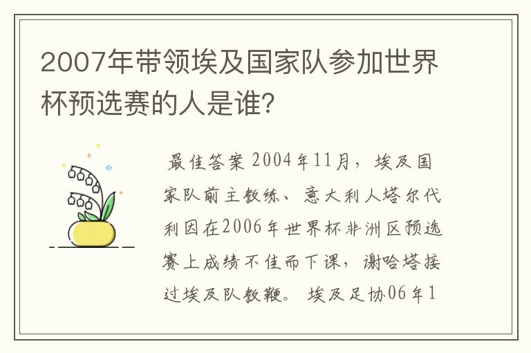 2007年带领埃及国家队参加世界杯预选赛的人是谁？