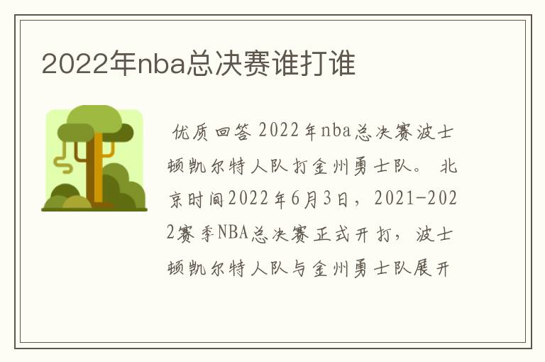 2022年nba总决赛谁打谁