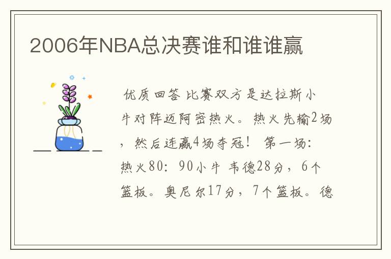 2006年NBA总决赛谁和谁谁赢