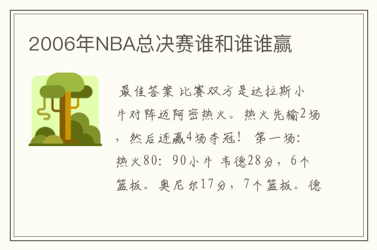 2006年NBA总决赛谁和谁谁赢