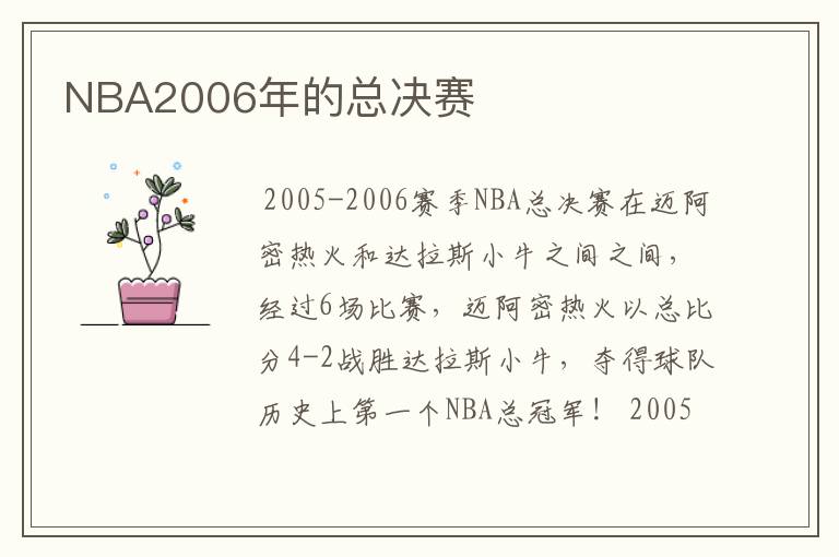 NBA2006年的总决赛