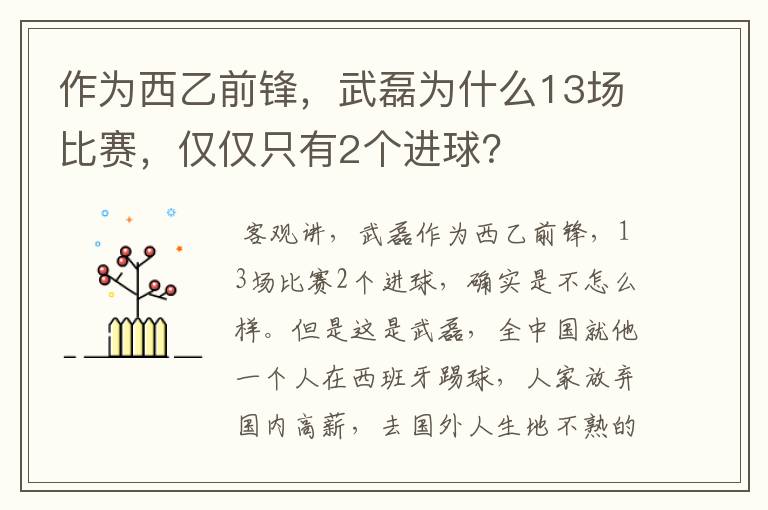 作为西乙前锋，武磊为什么13场比赛，仅仅只有2个进球？