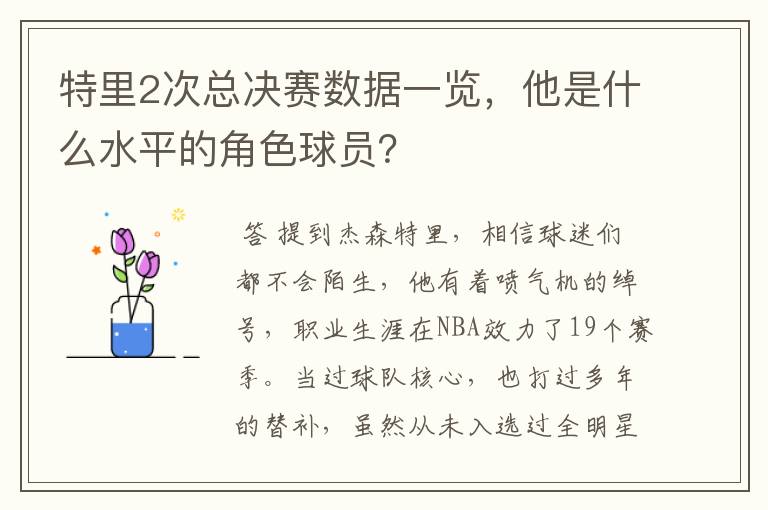 特里2次总决赛数据一览，他是什么水平的角色球员？