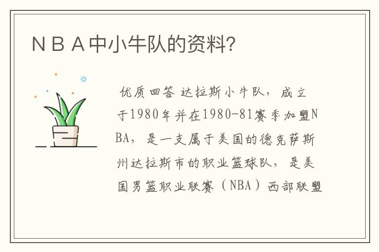 ＮＢＡ中小牛队的资料？