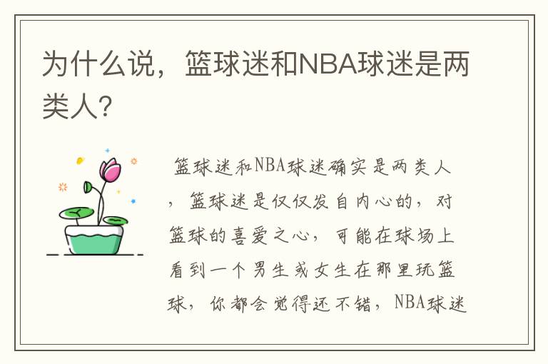 为什么说，篮球迷和NBA球迷是两类人？