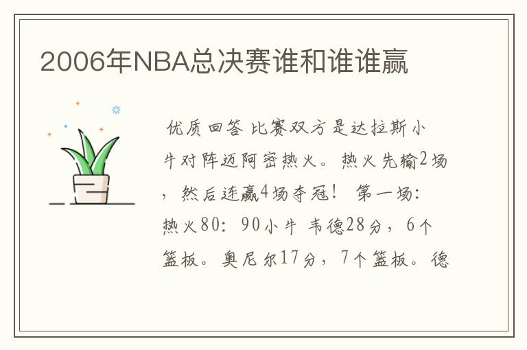 2006年NBA总决赛谁和谁谁赢