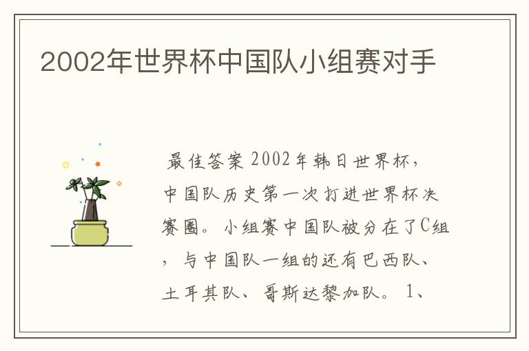 2002年世界杯中国队小组赛对手