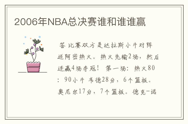 2006年NBA总决赛谁和谁谁赢