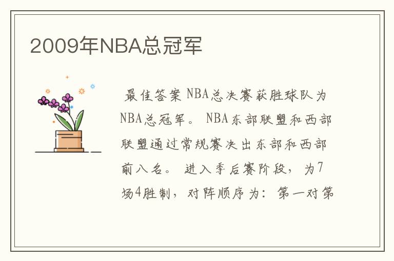 2009年NBA总冠军