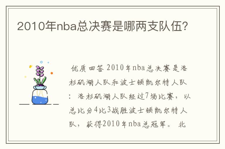 2010年nba总决赛是哪两支队伍？