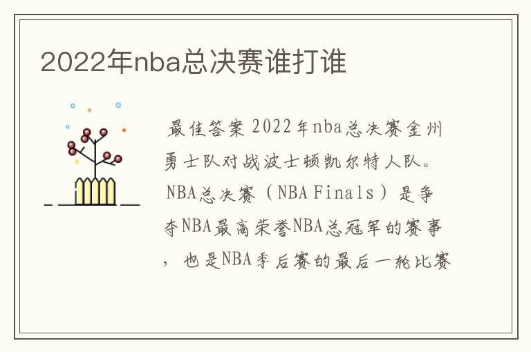 2022年nba总决赛谁打谁