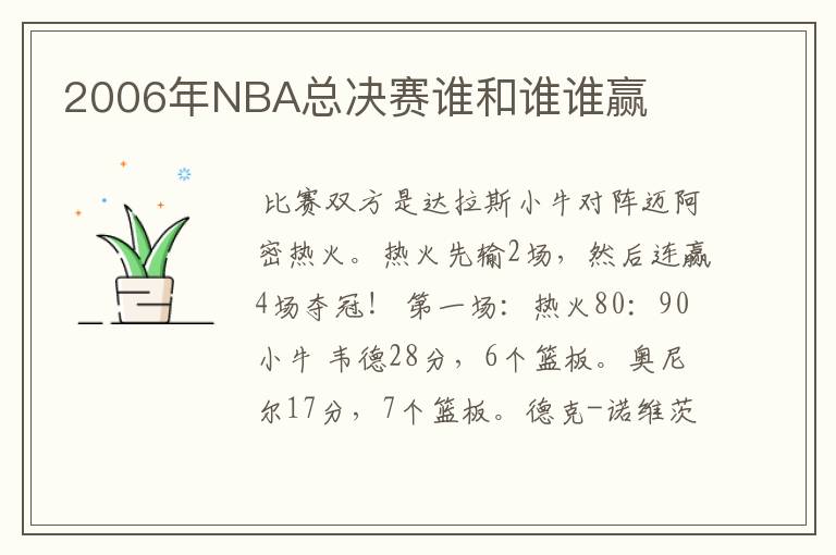 2006年NBA总决赛谁和谁谁赢